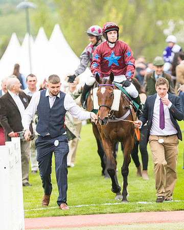 Race 4 - Timico Gold Cup (313 of 380)