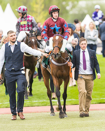 Race 4 - Timico Gold Cup (315 of 380)