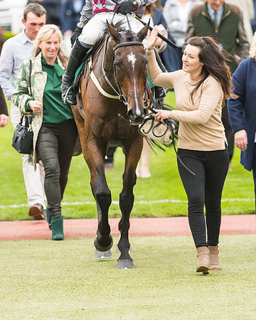 Race 4 - Timico Gold Cup (319 of 380)