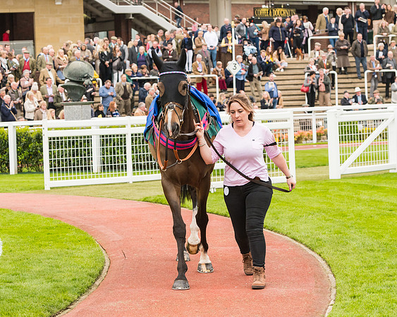 Race 5 - Mares (1 of 399)