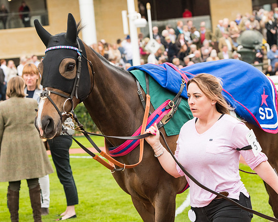 Race 5 - Mares (2 of 399)