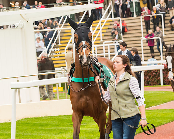 Race 5 - Mares (3 of 399)