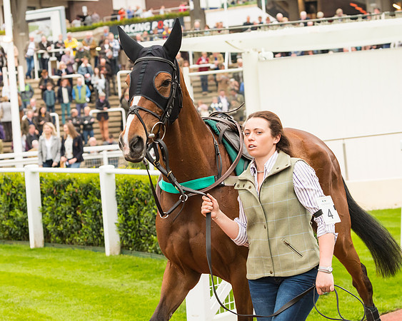 Race 5 - Mares (4 of 399)
