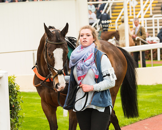 Race 5 - Mares (5 of 399)