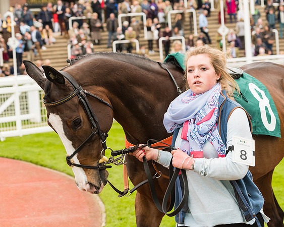 Race 5 - Mares (7 of 399)
