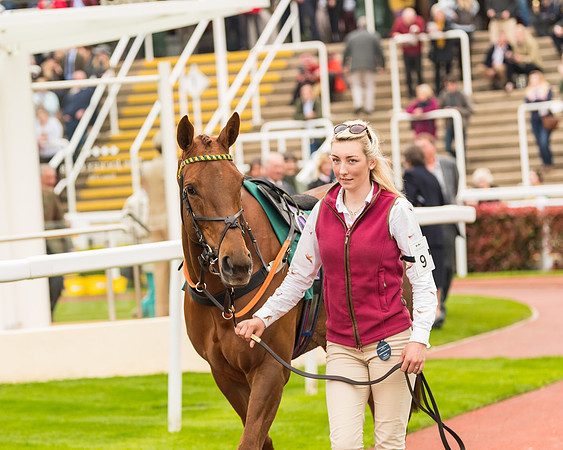 Race 5 - Mares (10 of 399)