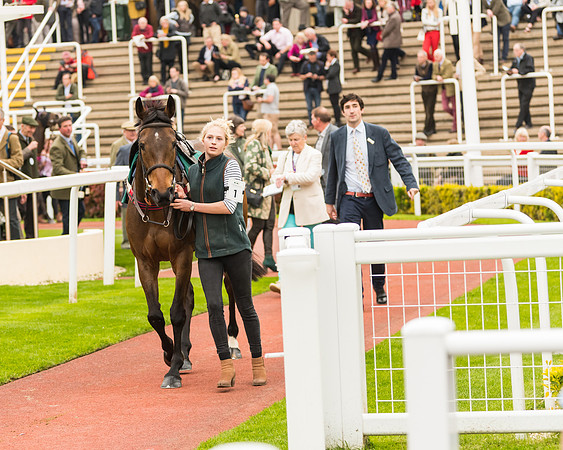 Race 5 - Mares (13 of 399)