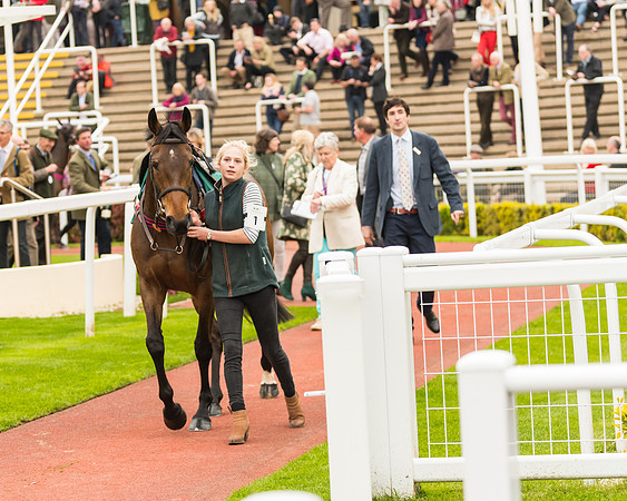 Race 5 - Mares (14 of 399)