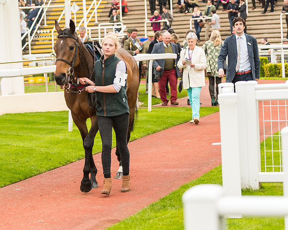 Race 5 - Mares (15 of 399)