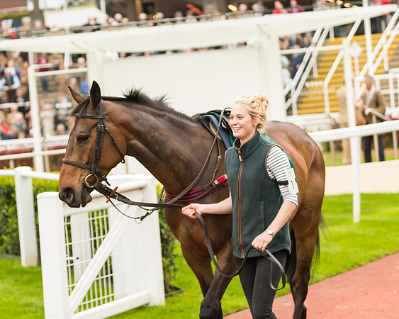 Race 5 - Mares (16 of 399)