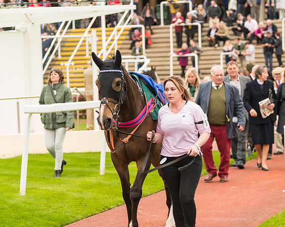 Race 5 - Mares (19 of 399)