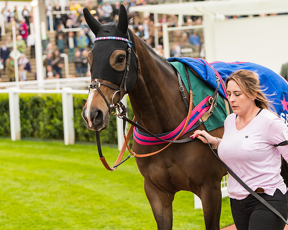 Race 5 - Mares (20 of 399)