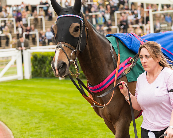 Race 5 - Mares (21 of 399)