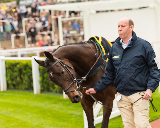 Race 5 - Mares (25 of 399)