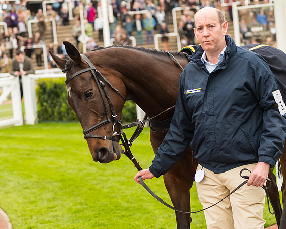 Race 5 - Mares (26 of 399)