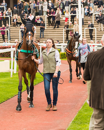 Race 5 - Mares (28 of 399)