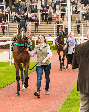 Race 5 - Mares (29 of 399)