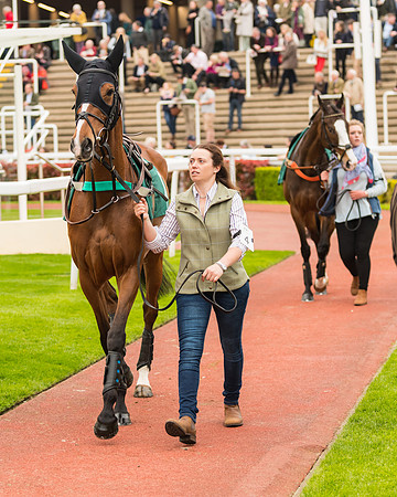 Race 5 - Mares (30 of 399)