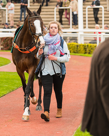 Race 5 - Mares (31 of 399)
