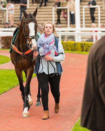 Race 5 - Mares (32 of 399)