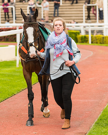 Race 5 - Mares (33 of 399)