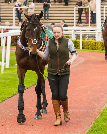 Race 5 - Mares (39 of 399)