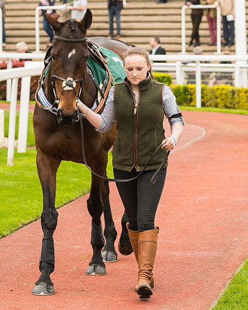 Popaway - Immy Robinson