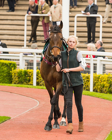 Race 5 - Mares (41 of 399)