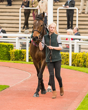 Race 5 - Mares (42 of 399)
