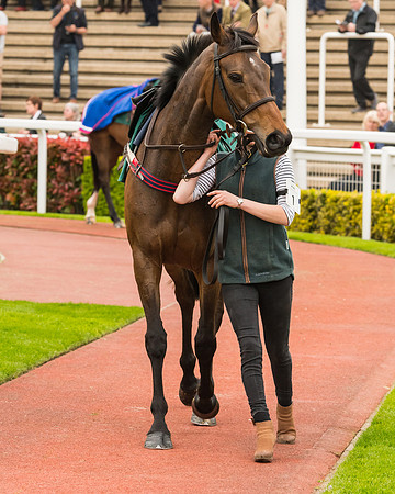 Race 5 - Mares (43 of 399)