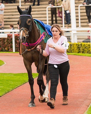 Race 5 - Mares (45 of 399)