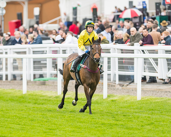 Race 5 - Mares (49 of 399)