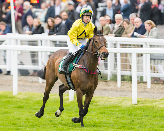Race 5 - Mares (51 of 399)
