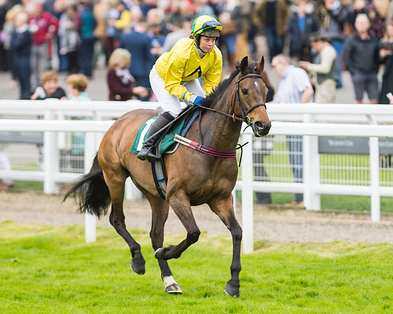 Race 5 - Mares (55 of 399)