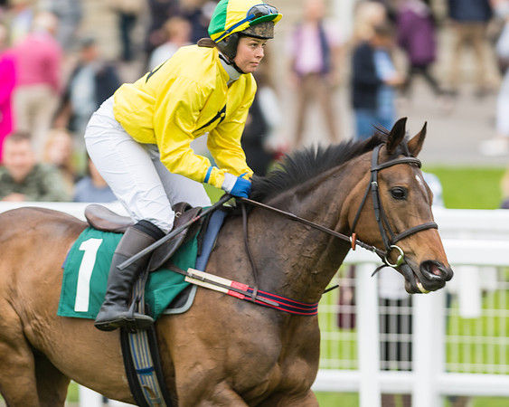 Race 5 - Mares (58 of 399)