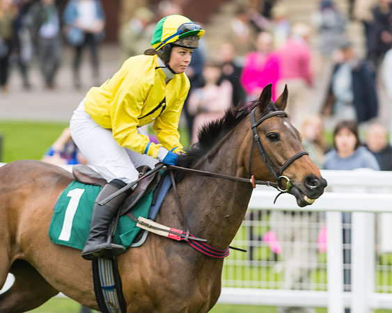 Race 5 - Mares (56 of 399)