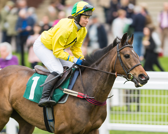 Race 5 - Mares (57 of 399)