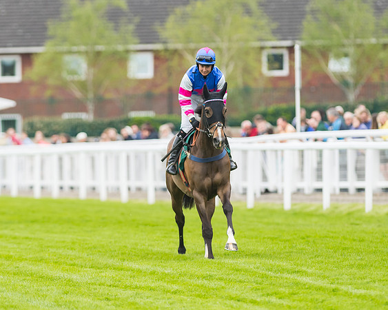 Race 5 - Mares (60 of 399)