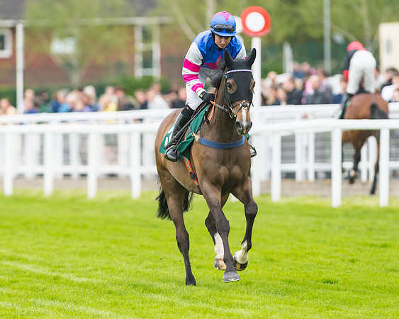 Race 5 - Mares (61 of 399)