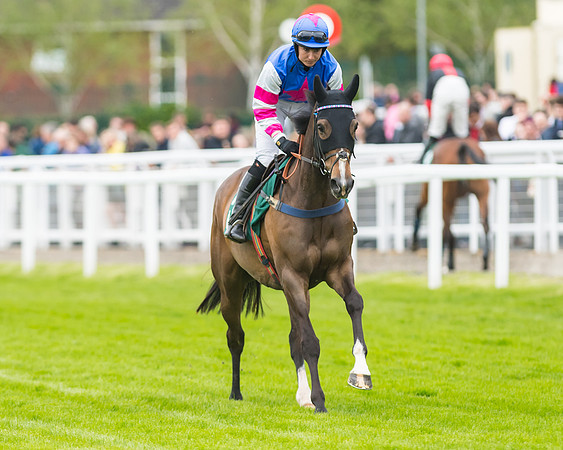 Race 5 - Mares (62 of 399)