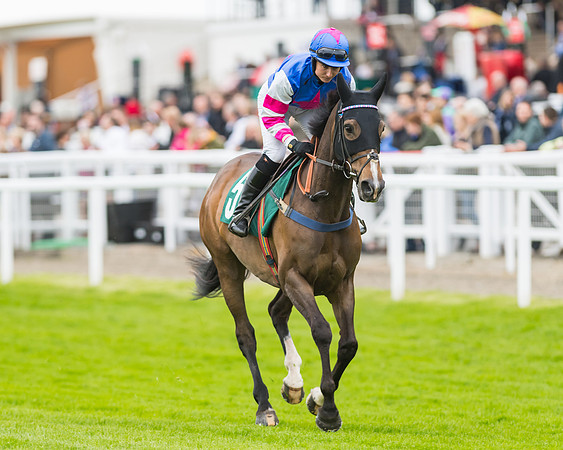 Race 5 - Mares (65 of 399)