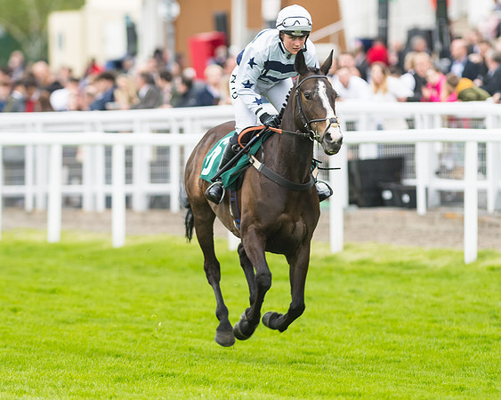 Race 5 - Mares (66 of 399)