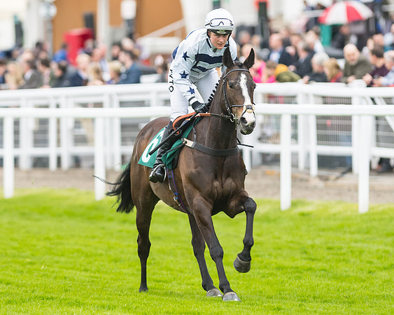 Race 5 - Mares (68 of 399)