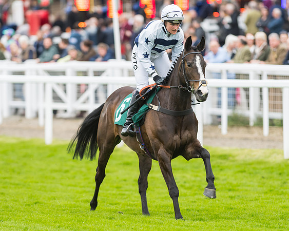 Race 5 - Mares (69 of 399)
