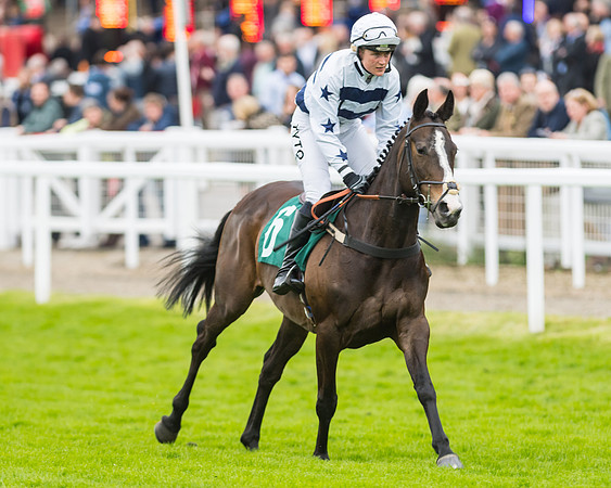 Race 5 - Mares (70 of 399)