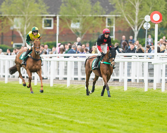 Race 5 - Mares (75 of 399)