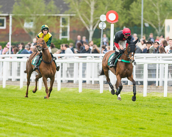 Race 5 - Mares (77 of 399)