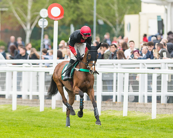 Race 5 - Mares (78 of 399)