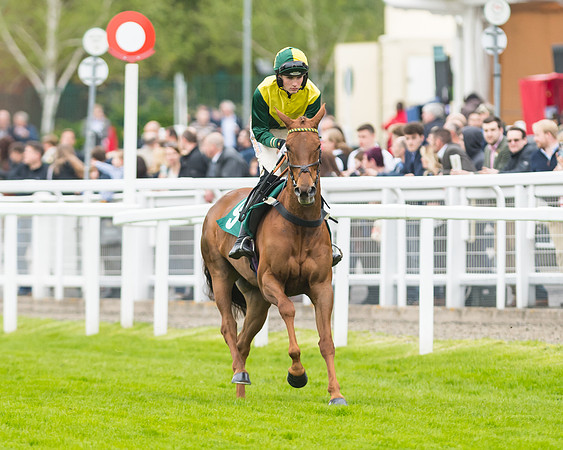 Race 5 - Mares (79 of 399)