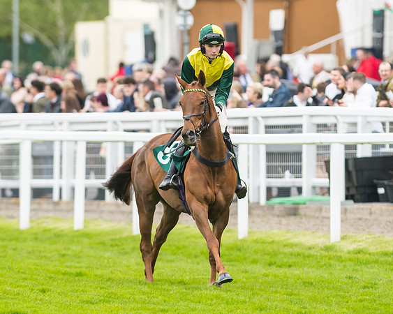 Race 5 - Mares (81 of 399)
